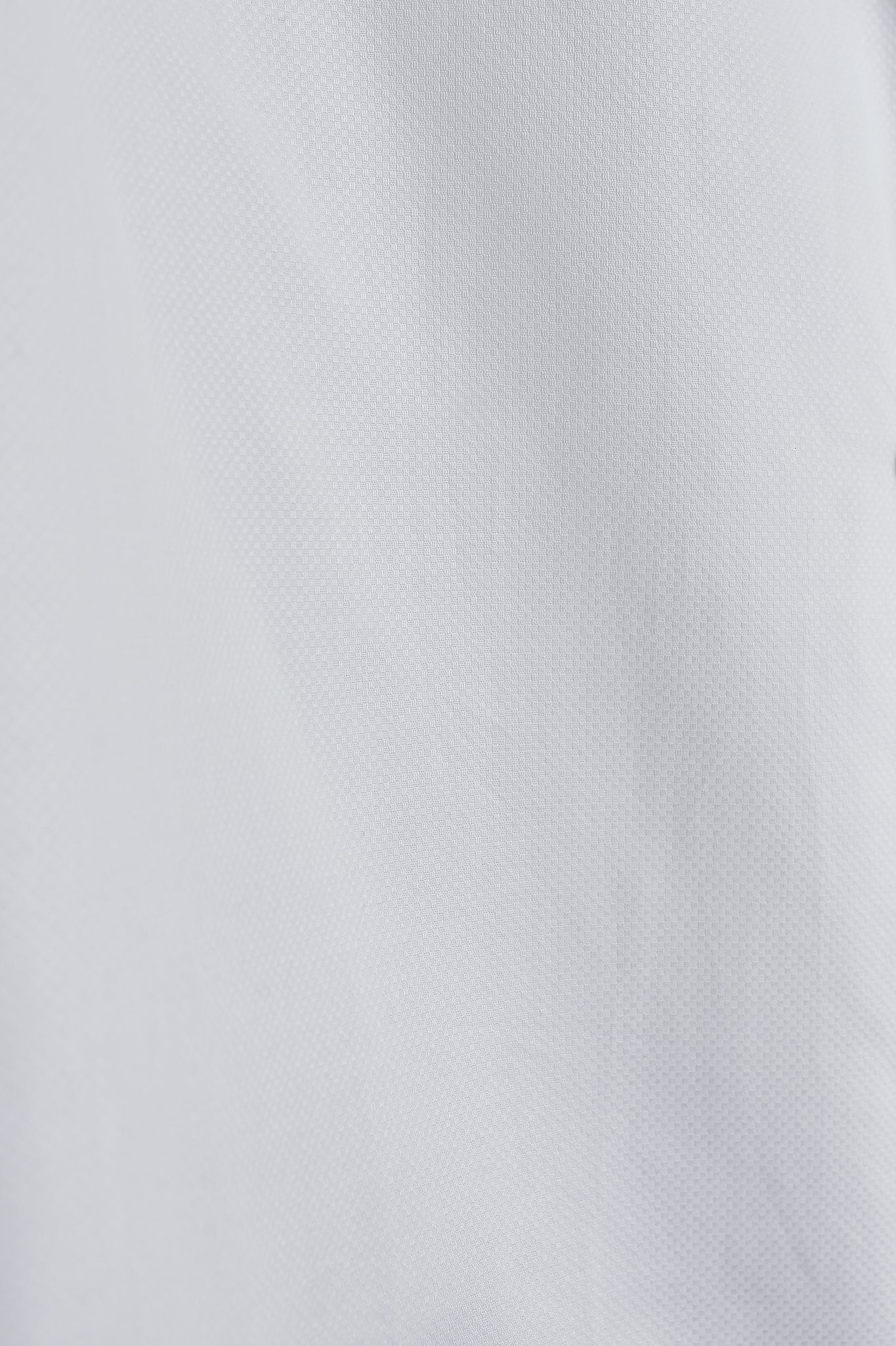 Camisa cuello solapa blanca
